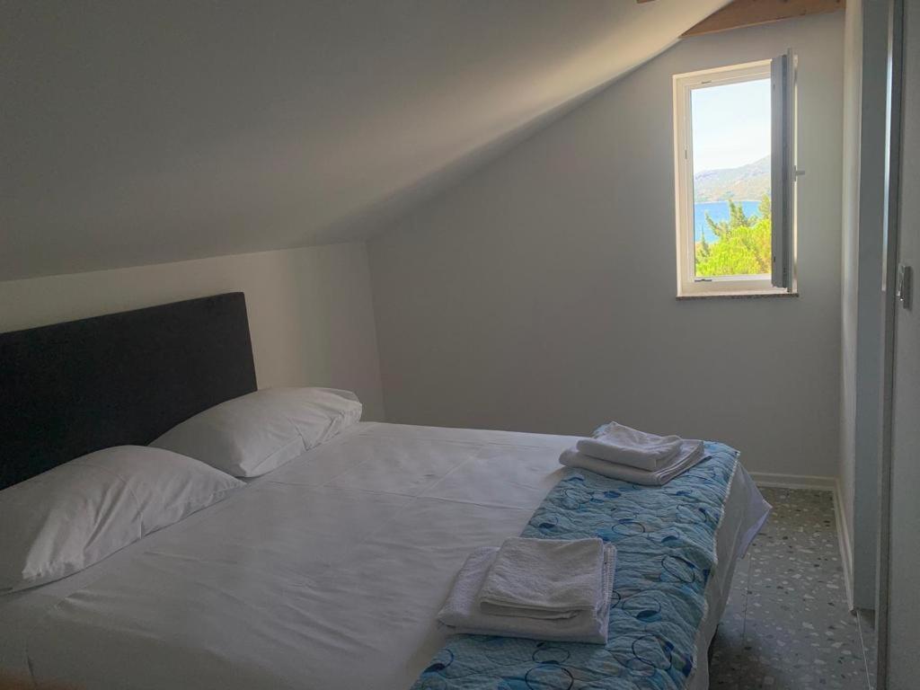Maria Apartments ستاريغغاد باكلينتسا المظهر الخارجي الصورة